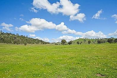 Address Withheld, Gulgong, NSW 2852, 0 Schlafzimmer, 0 Badezimmer, Lifestyle Property