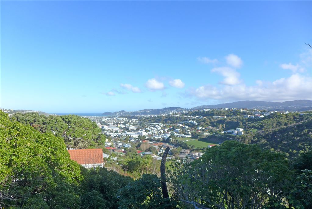 159 Nevay Road, Miramar, Wellington, 0房, 0浴