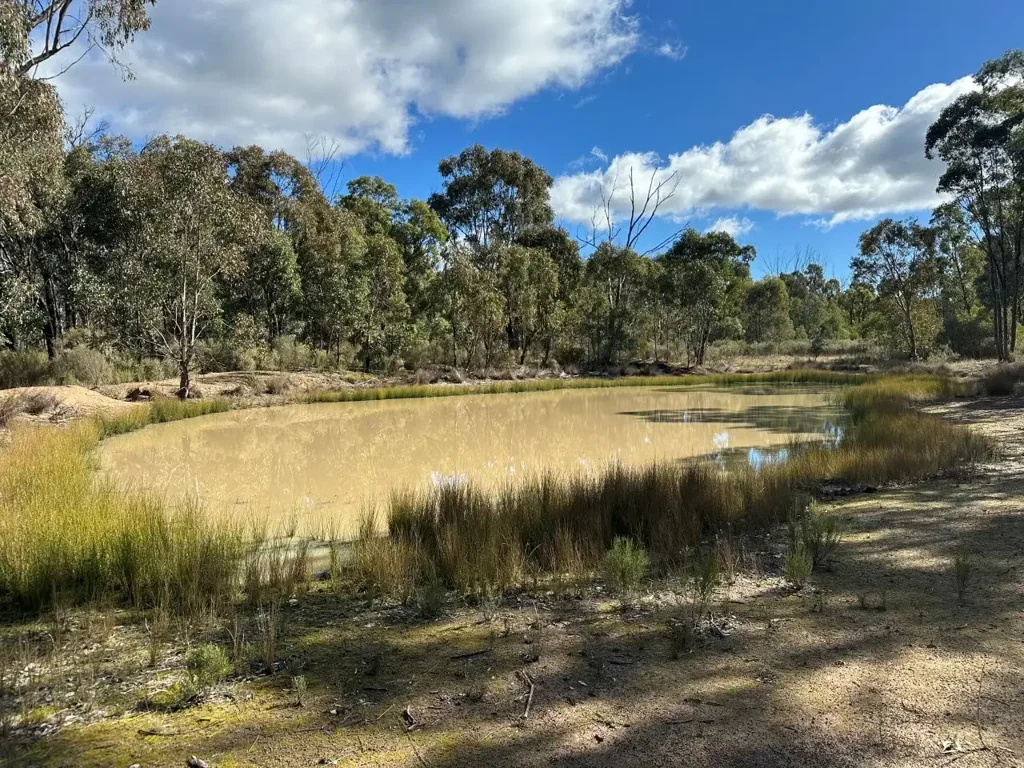 Coolah Pristine Bushland – Lifestyle & Adventure