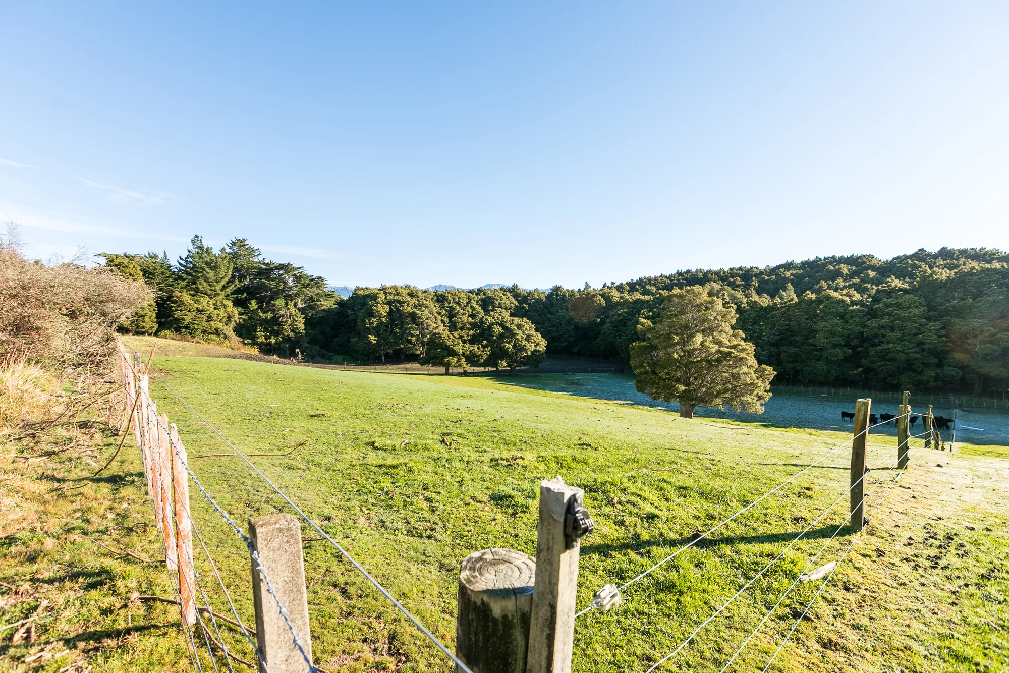 296 Mill Road, Ashley Clinton, Central Hawkes Bay, Hawkes Bay, 0 Bedrooms, 0 Bathrooms, Lifestyle Section