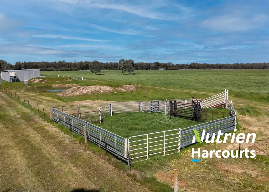 Londrigan Perfect start! Farm or even build your dream home