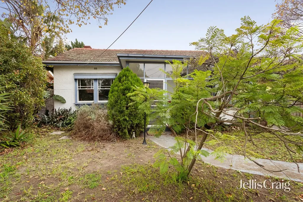 Bentleigh 3Moenga Perfect patterson potential