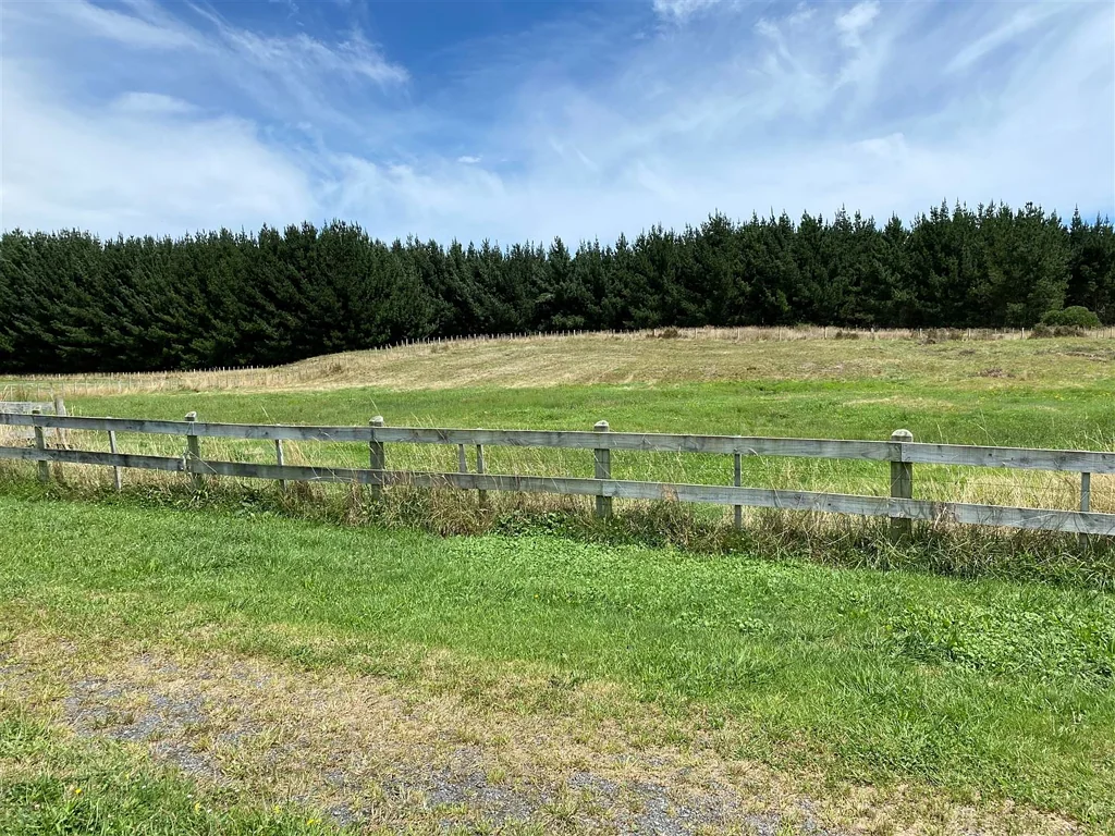Waitarere Beach That Special Section!