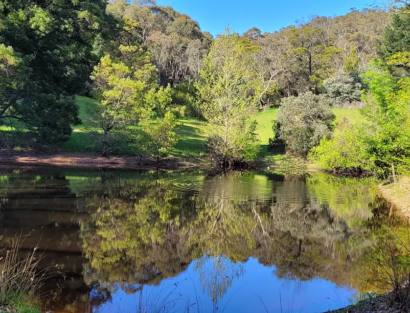 Sec 172 Carthew Road, Scott Creek, Adelaide Hills, 0房, 0浴, Section