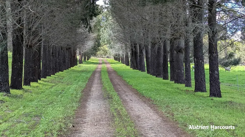 Lot 11 Woodbine Road, Regans Ford, WA 6507