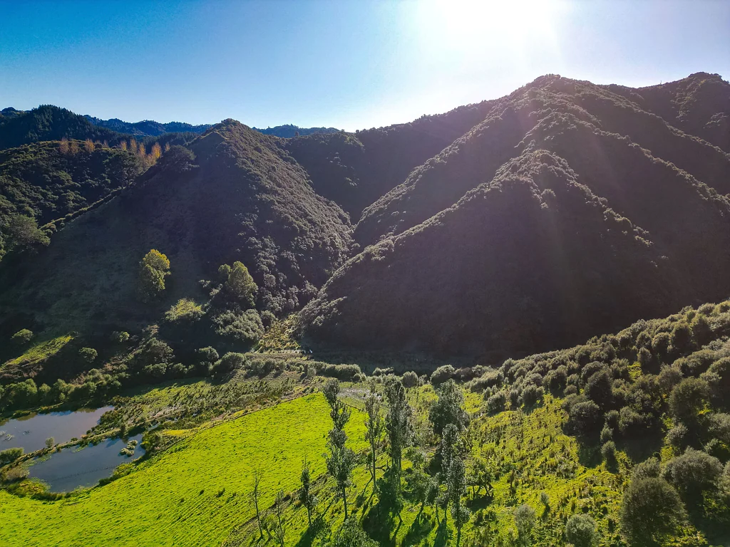 Waitotara Picturesque Waitotara Valley farm