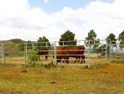 Lot 8/82 Kellys Road, Bracewell, QLD 4695, 0 slaapkamers, 0 badkamers, Lifestyle Property