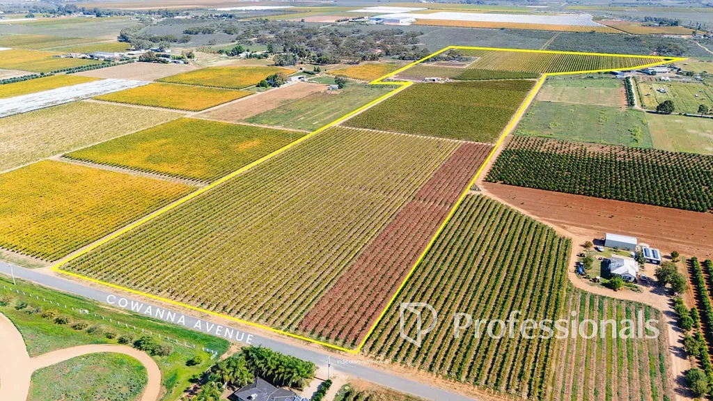 Merbein South  Quality Dried Fruit Holding - 18.01Ha(44.5Acres Approx)