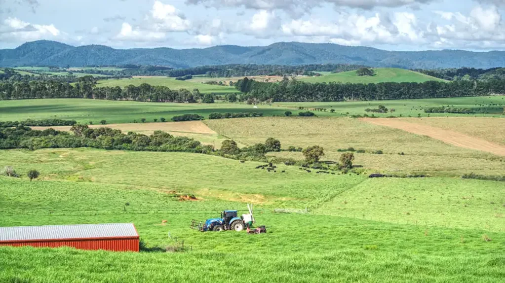 Dorrigo  Your Blank Canvas - Private, Productive and Picturesque