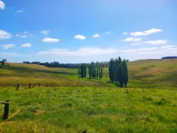 State Highway 10, Kaingaroa