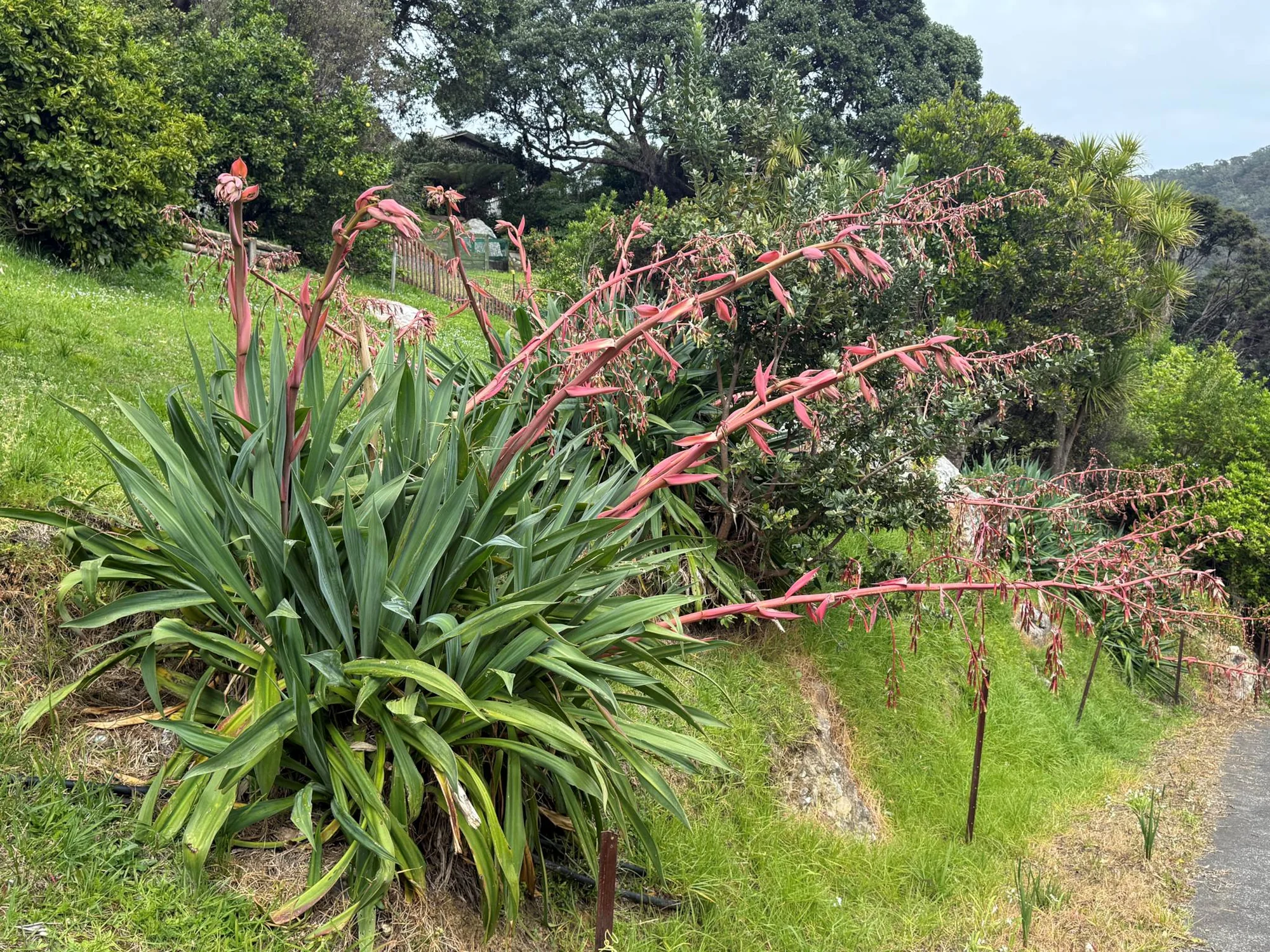 773 Whangaparapara Road, Great Barrier Island, photo 8
