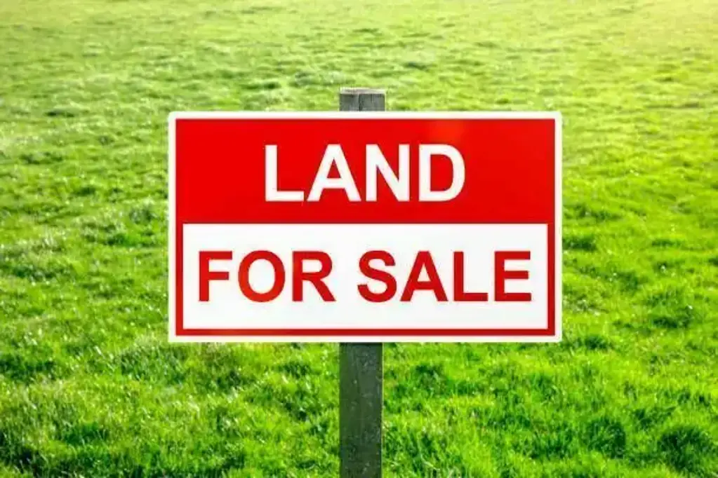 Oakville 5침실 CONTACT FERDINAND 0475 105 157 YOUR TRUSTED AGENT IN OAKVILLE!!!