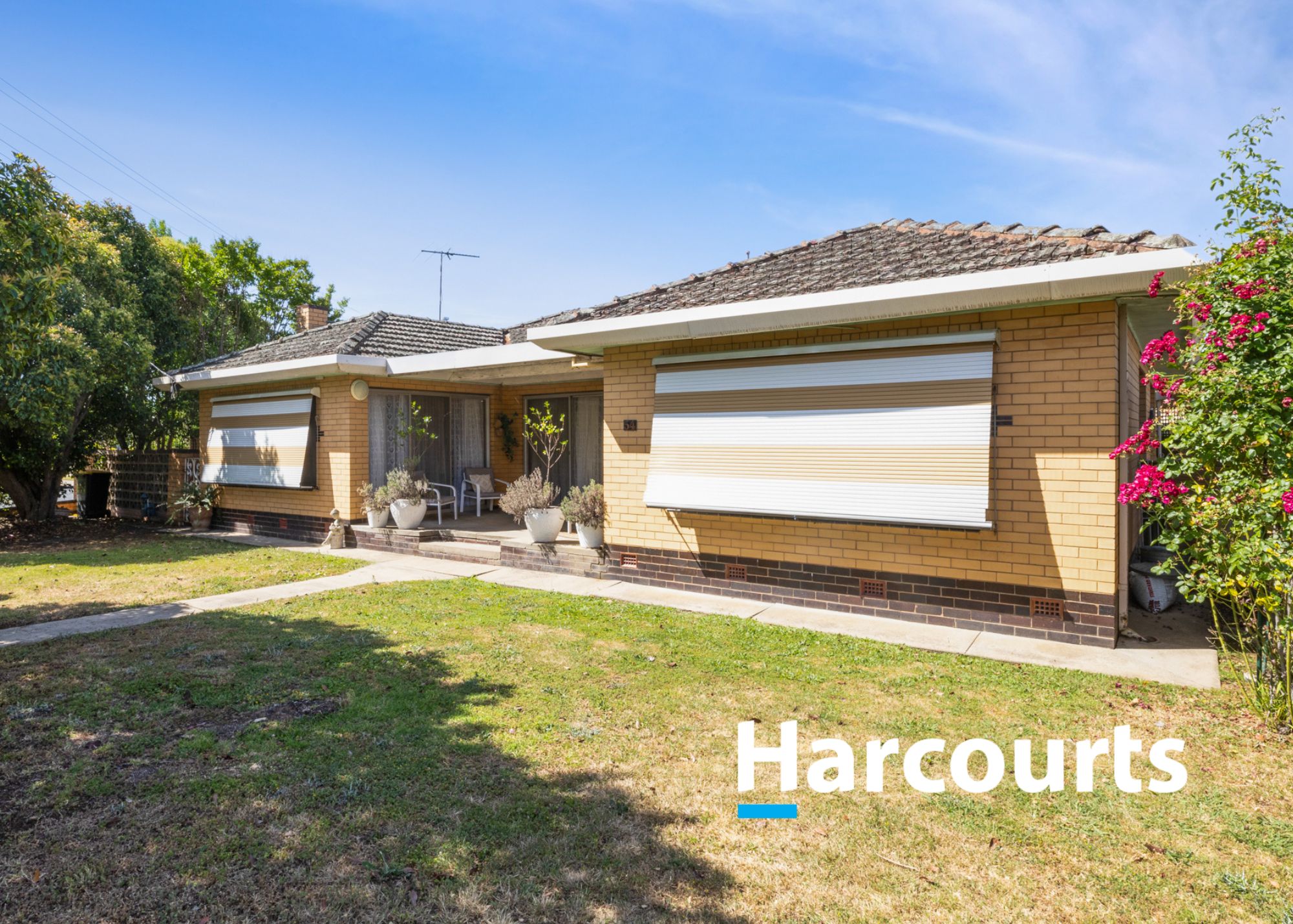 54 GARNET AV, WANGARATTA VIC 3677, 0 habitaciones, 0 baños, House