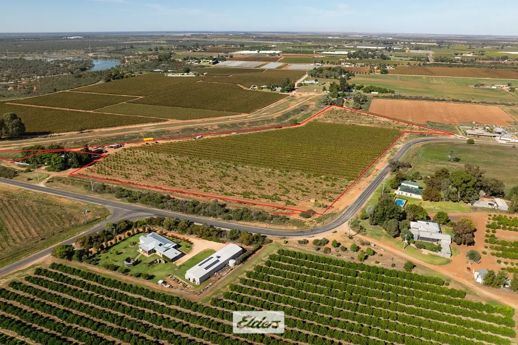 Red Cliffs  Developed and improving dried fruit holding
