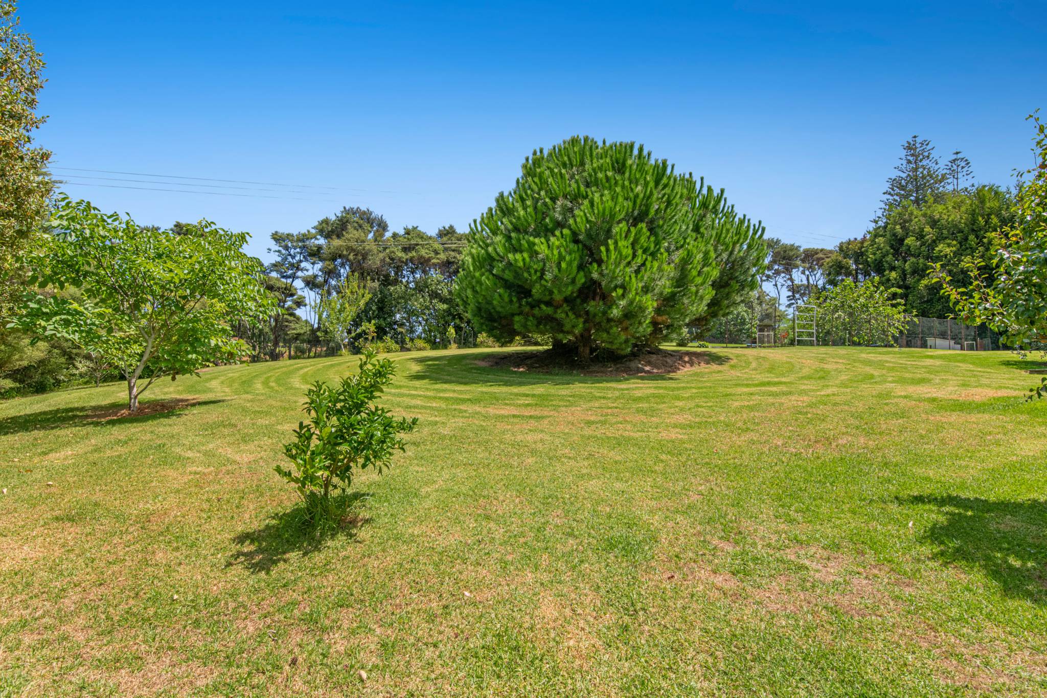 786 South Head Road, South Head, photo 12
