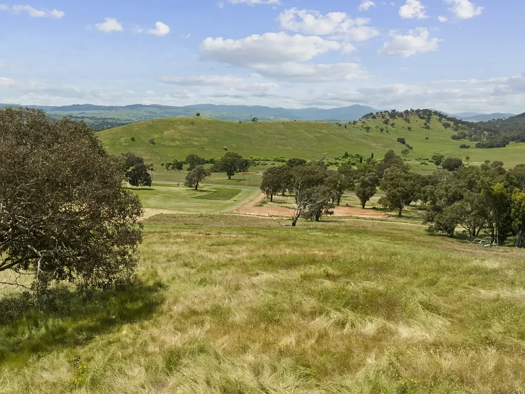 Mansfield 8.5 acres with Buller views in town!