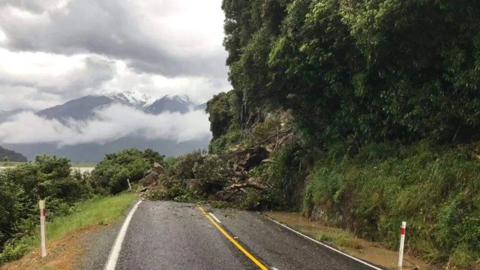 海外游客一家5口新西兰遇车祸案再添一亡魂｜新西兰南岛暴雨过后一千名海外游客被困｜36岁新西兰男子被控涉嫌谋杀41岁女子
