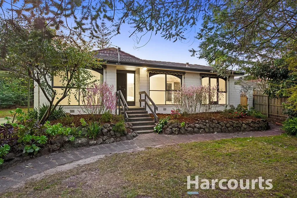 Frankston South 4Moenga Family Favourite!