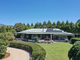 2 Narcissus Avenue, Dromedary