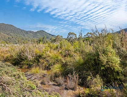 2 John Street, Rosebery, TAS 7470, 0 ห้องนอน, 0 ห้องน้ำ, Section