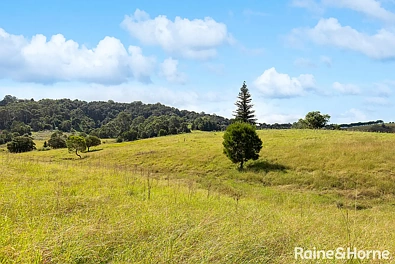 84 Devitts Lane, Jaspers Brush, NSW 2535, 0房, 0浴, Section