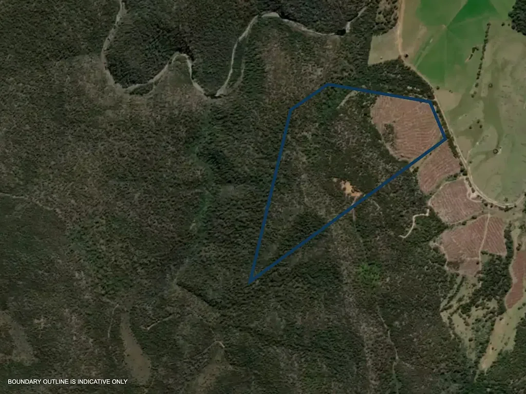 Bicheno Lot 13 / 524 Rosedale Road, Bicheno