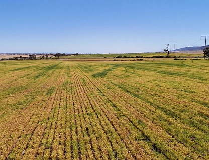 Allotment 78 Augusta Highway, Crystal Brook, Barossa - Yorke - Mid North, 0 habitaciones, 0 baños, Lifestyle Property