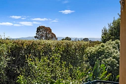 8 Honey Myrtle Court, Langwarrin