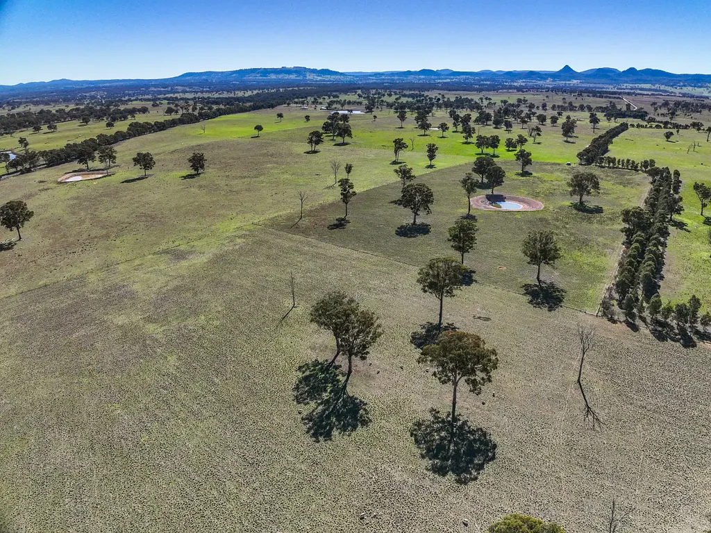 Rylstone Quality Rylstone Grazing Holding