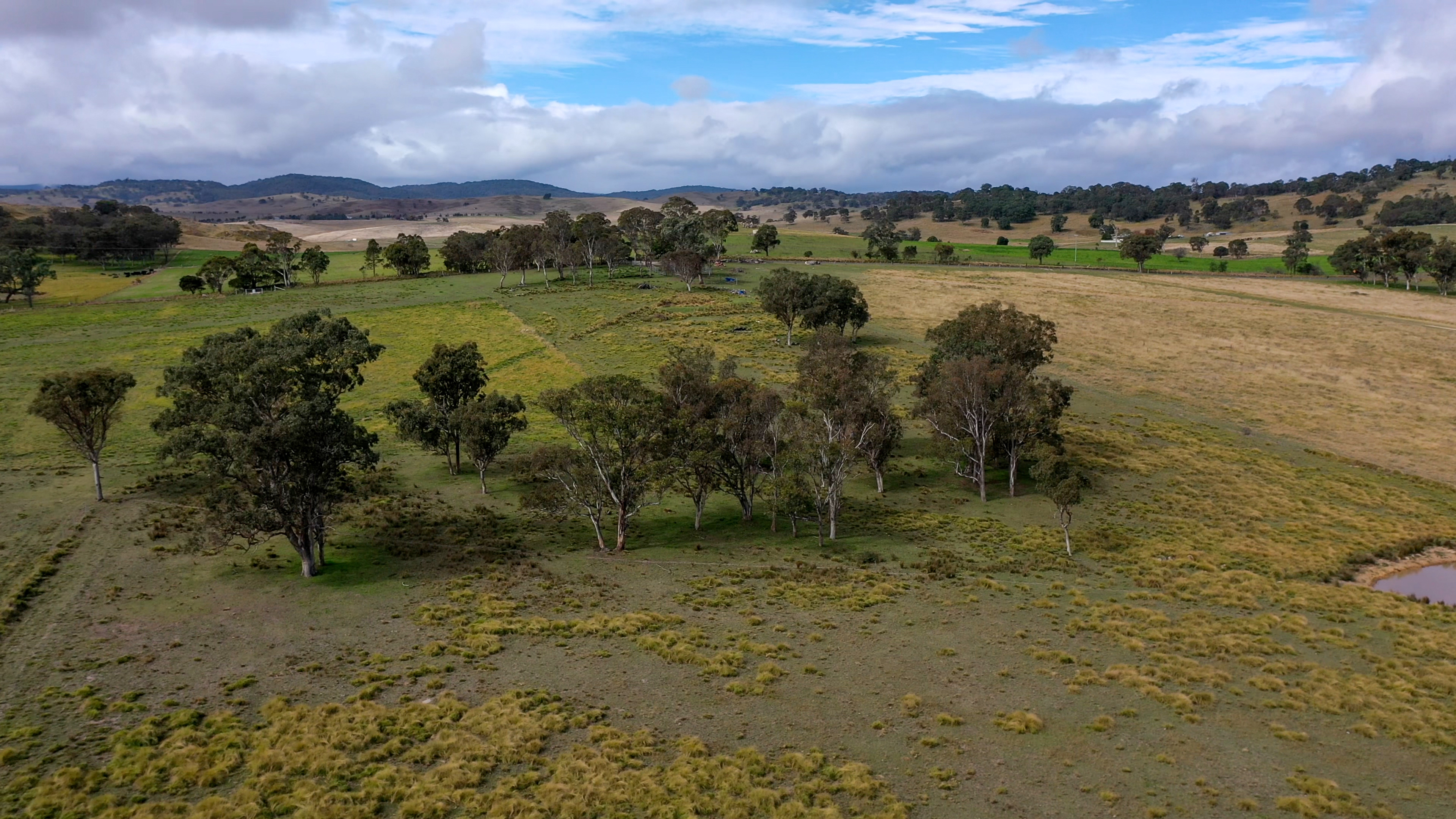 47A BRYANS GAP RD, TENTERFIELD NSW 2372, 0 rūma, 0 rūma horoi, Section