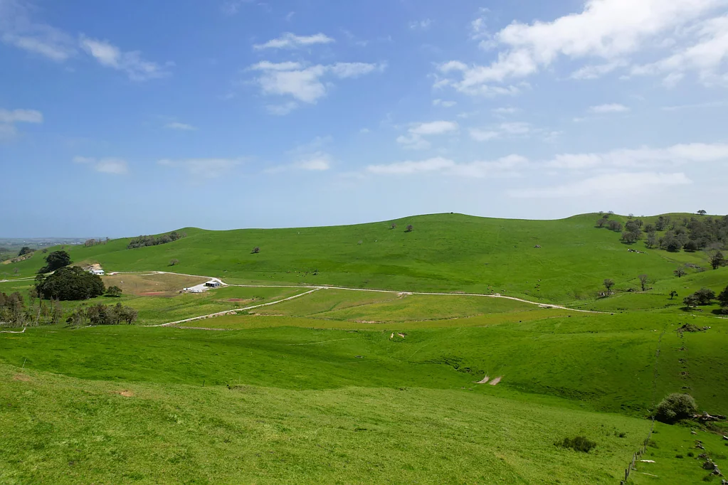 Dargaville  Versatile Grazing Opportunity