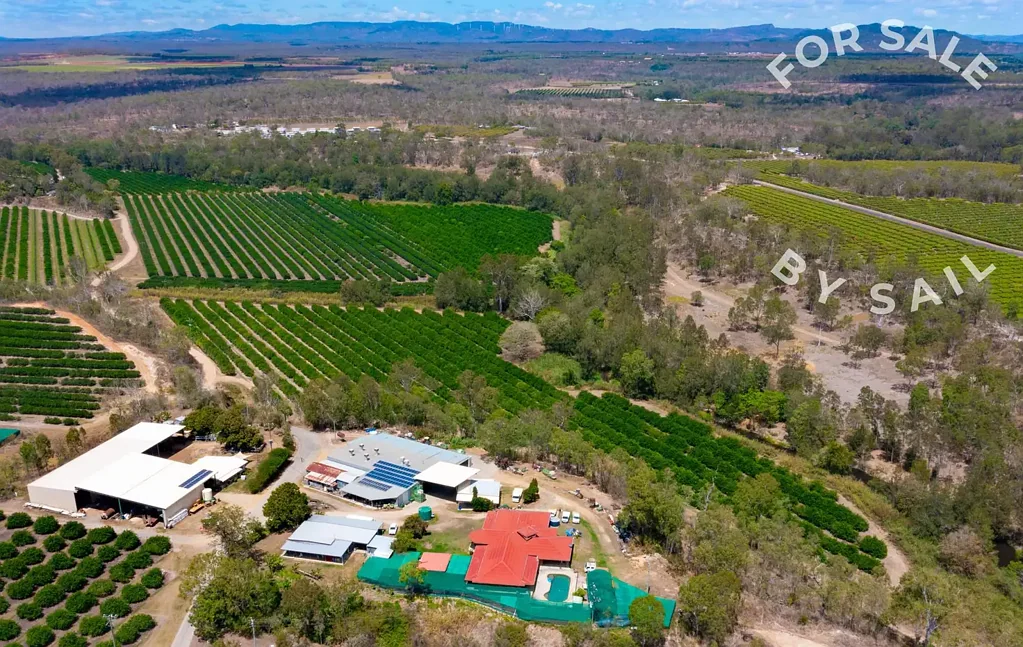 Mareeba  Caamano Farms, Lime & Pomelo Agribusiness