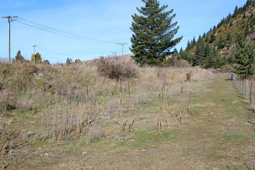 75 Gordon Street, Kurow, Waitaki, 0房, 1浴