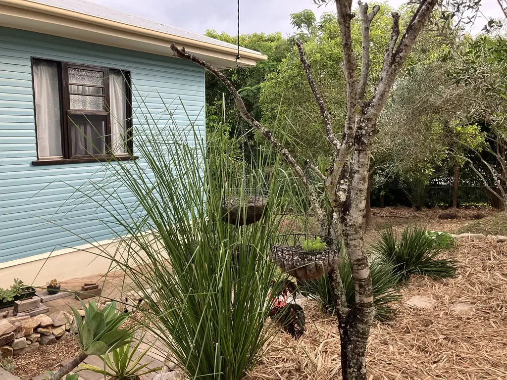 Gympie 3房  Bohemian, quarter-acre, post-war cutie!