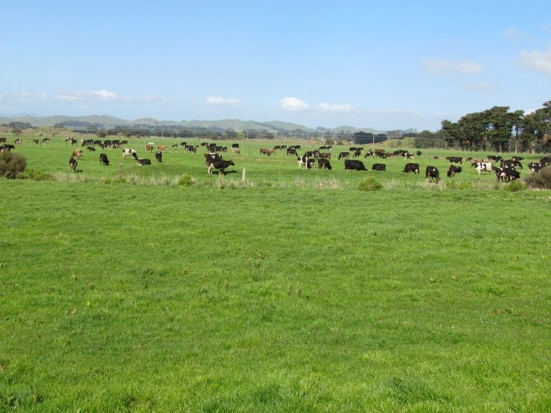 121 Doughertys Road, Eketahuna, Tararua, 0 침실, 0 욕실