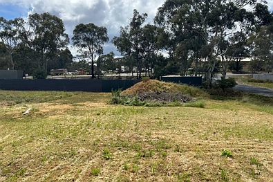 22 Broadway, Dunolly, VIC 3472, 0 Kuwarto, 0 Banyo, Lifestyle Property