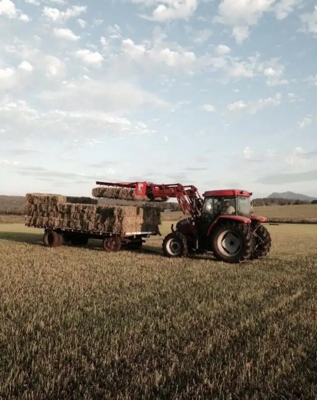 Croftby  A Rare Acreage with Multiple Income Streams — Strong Enough to Pay Itself Off