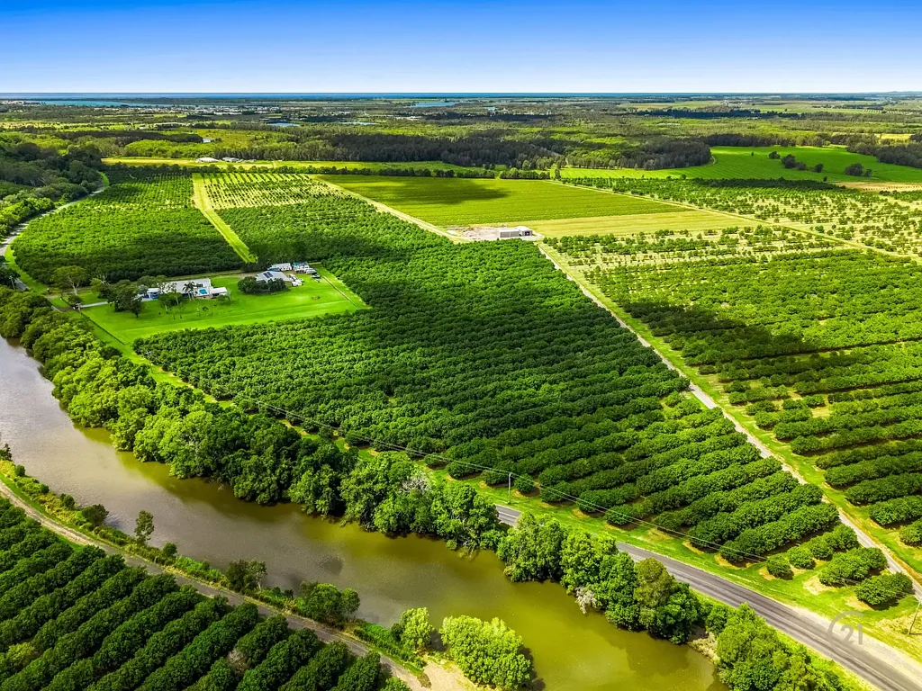 Teven  Premium Teven Macadamia Orchard on Fertile Alluvial Land