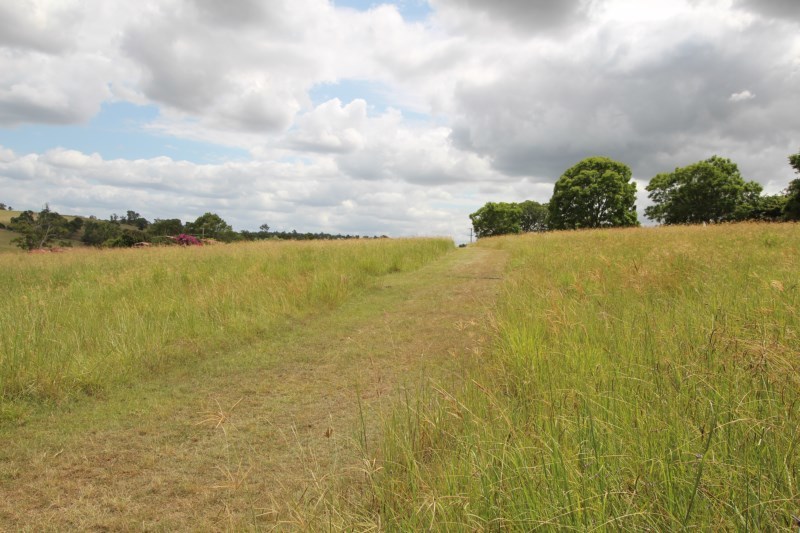 210 VERESDALE SCRUB SCHOOL RD, VERESDALE SCRUB QLD 4285, 0 침실, 0 욕실, Lifestyle Property