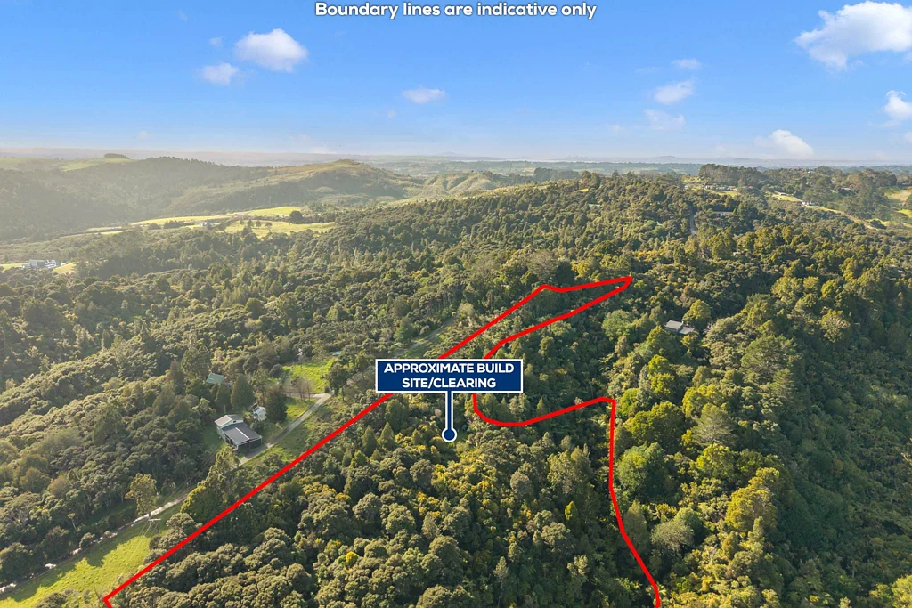 Waitakere Native Bush + Build Site