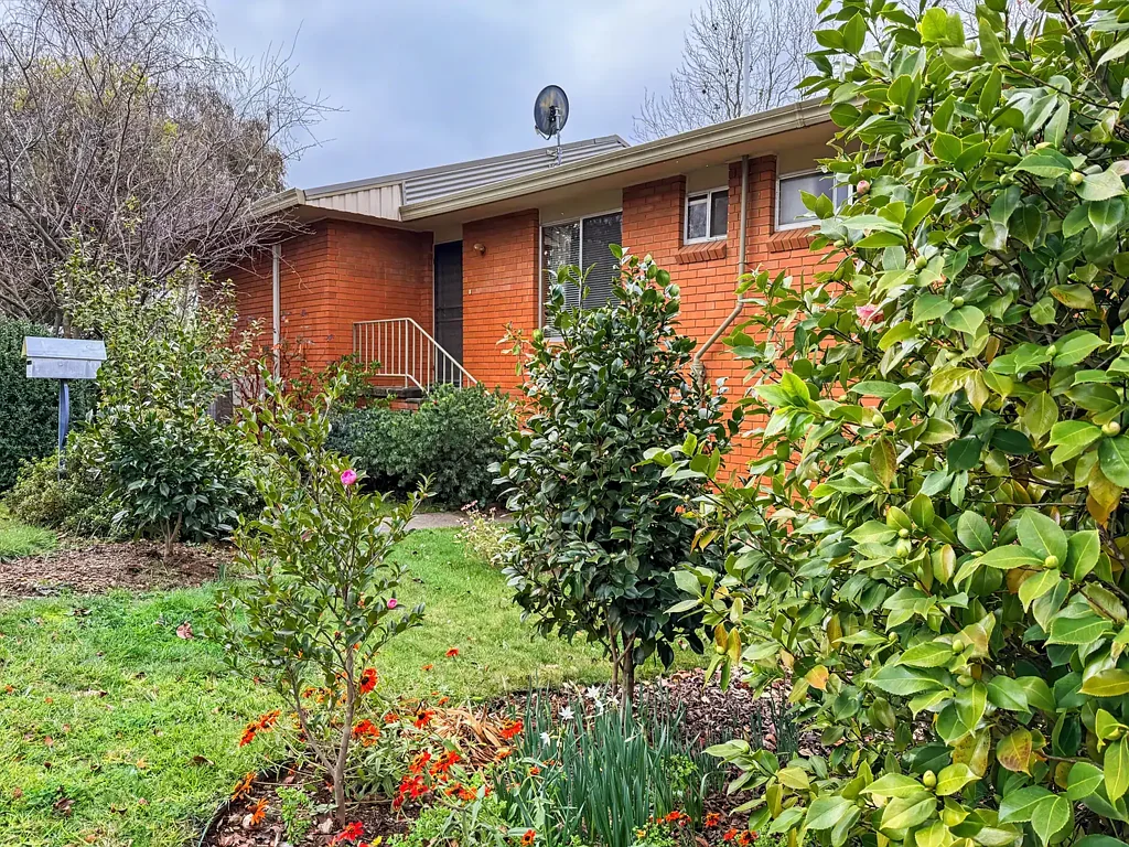 Tumbarumba 4Kwarto Elevated Living with Mountain Views and Everyday Convenience