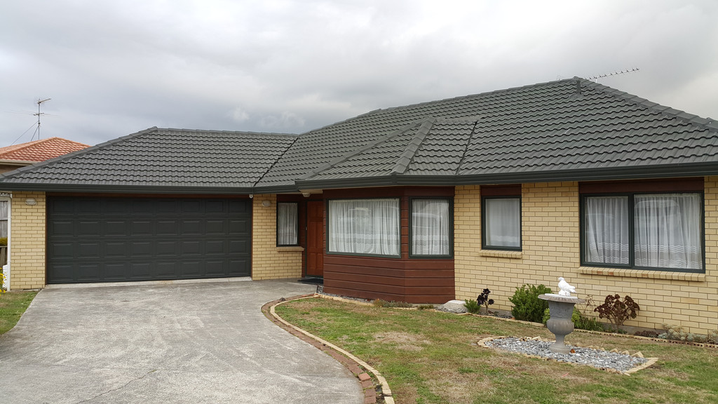 Residential  Terrace Housing and Apartment Building Zone