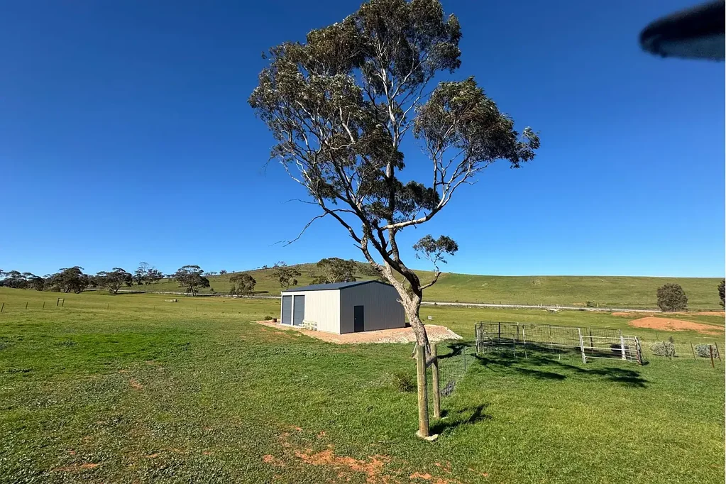 Tarcowie Versatile Hills Grazing Property on Approx. 250 Acres – Appila/Tarcowie Road