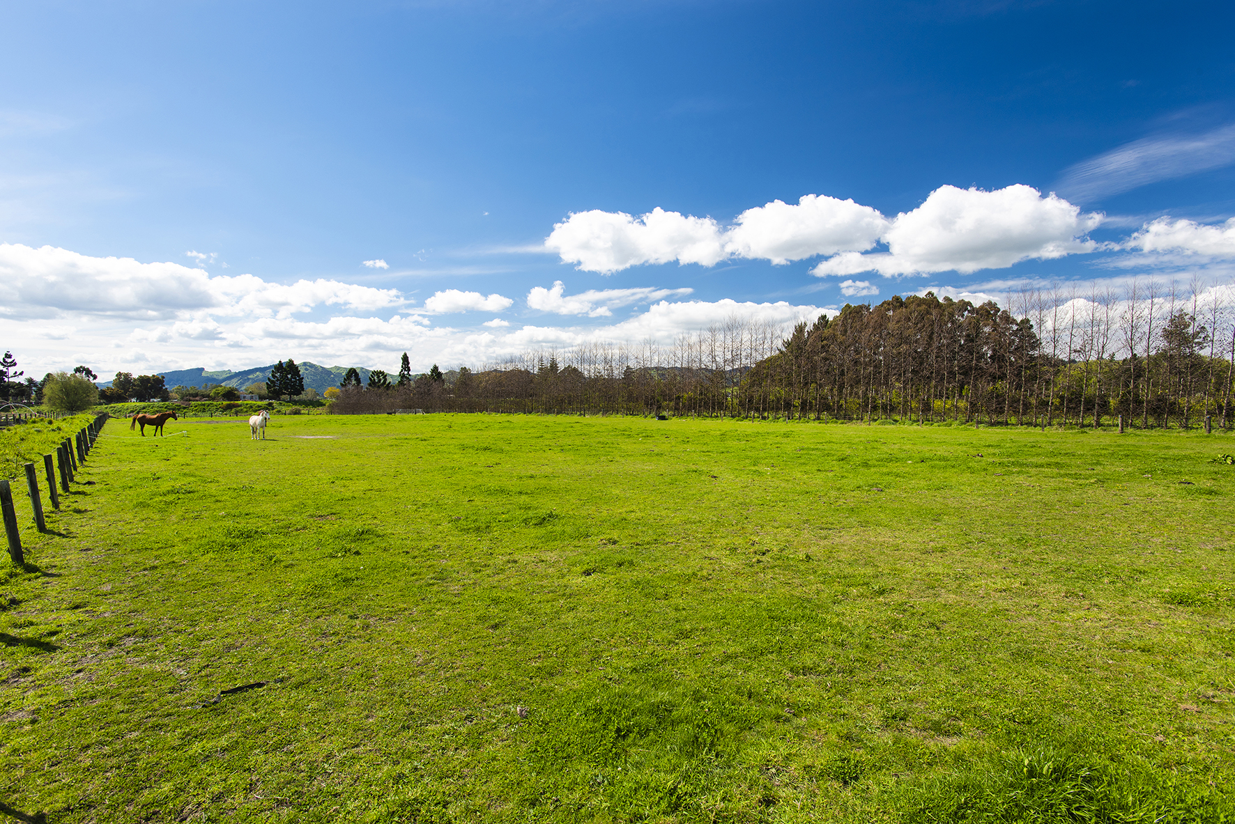 7 Ora Street, Makaraka, Gisborne, 3 રૂમ, 0 બાથરૂમ