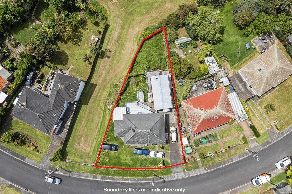 Panmure 5chambre Panmure Potential: Elevate, Expand, Evolve