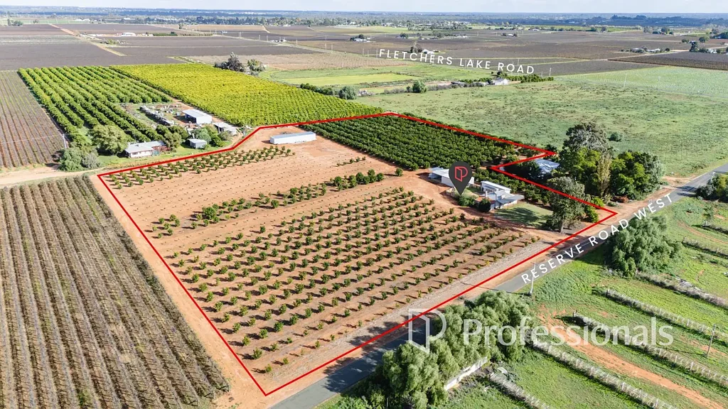 Coomealla Productive Rural Lifestyle with Established Mandarins