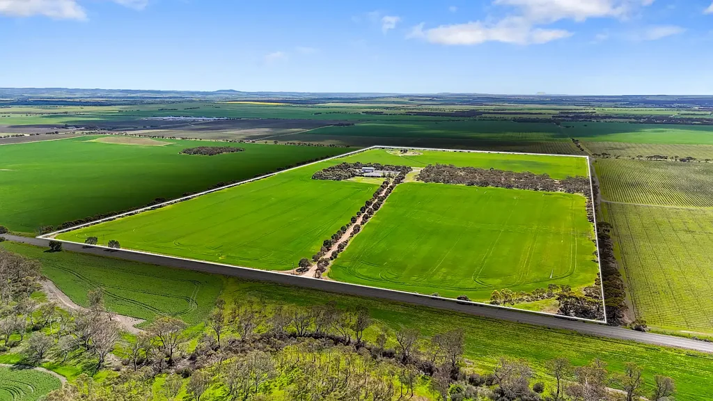 Langhorne Creek "Rural Living at its best"- 90 acres