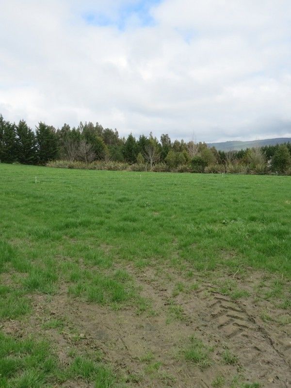 Frew Road, Herbert, Waitaki, 0房, 0浴