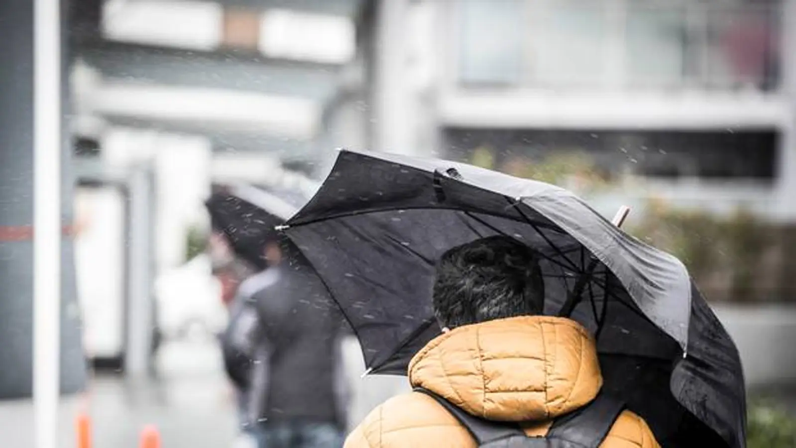 天气预报|今天大部分地区有阵雨，未来几天再有寒潮