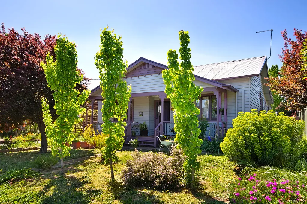 Campbells Creek 4房  Charming 1920s Californian Bungalow amidst blissful gardens